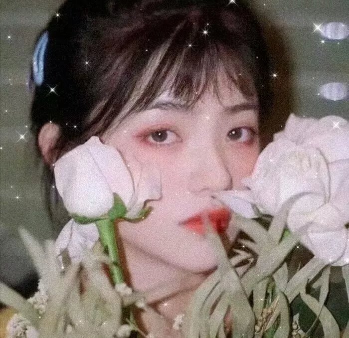 亦舞之城